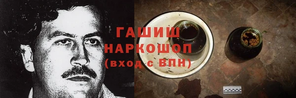 сатива Горняк