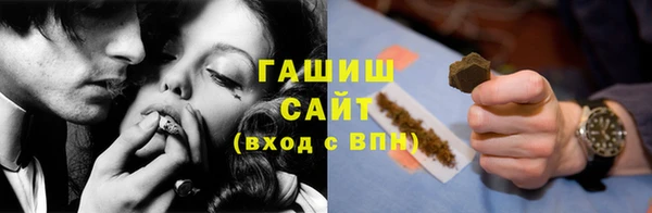 сатива Горняк