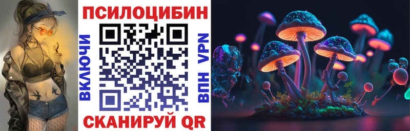 Галлюциногенные грибы прущие грибы  Елабуга 